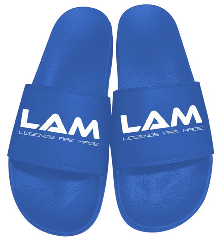 LAM Slides Blue
