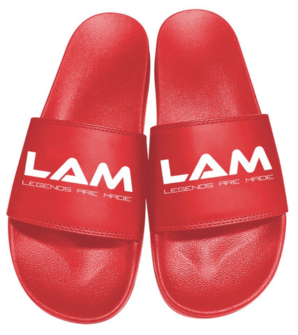 LAM Slides Red