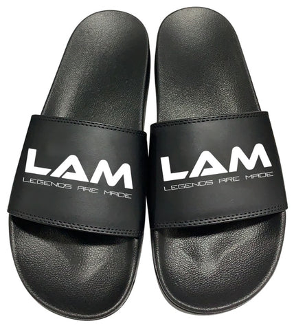 LAM Slides